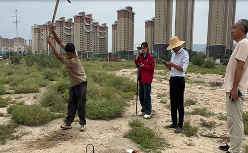 大香蕉大黄片中的挑战与对策：确保地质数据的准确性与全面性